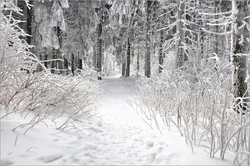 Mona Lee - Wintertale - feat. Lennart Eggers