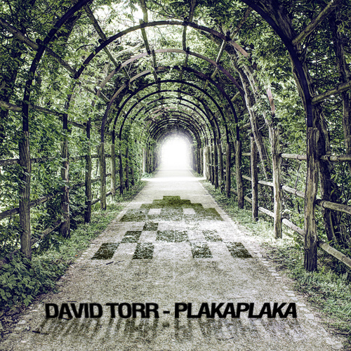BugCoder Records - [BCR004] David Torr - Plakaplaka