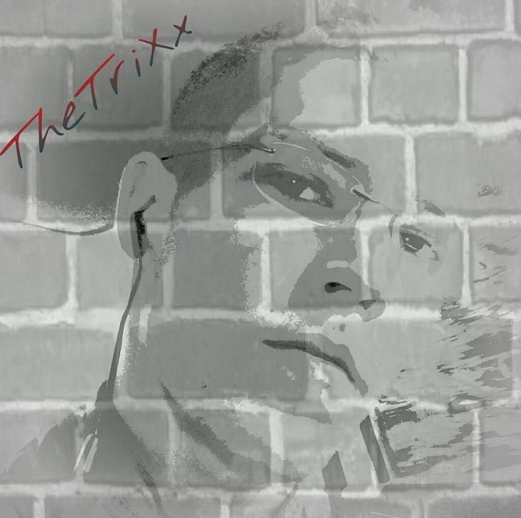 TheTriXx - Was Willst Du