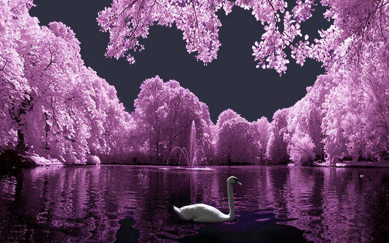 8itcrusher - Lovely Times