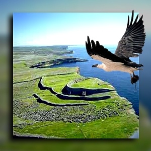 deZent - Inishmore Eagle