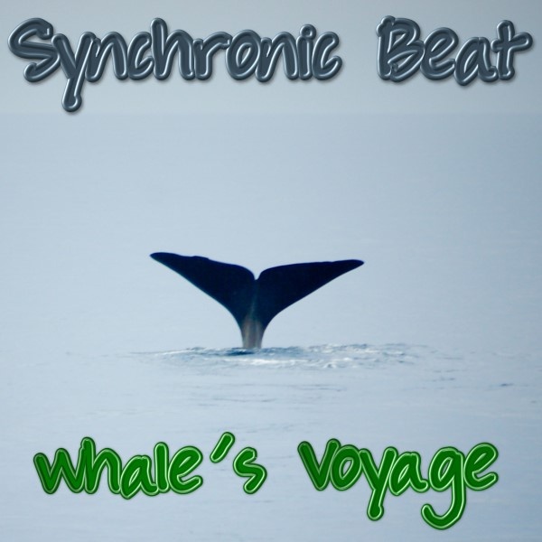 Synchronic Beat - Whale's Voyage