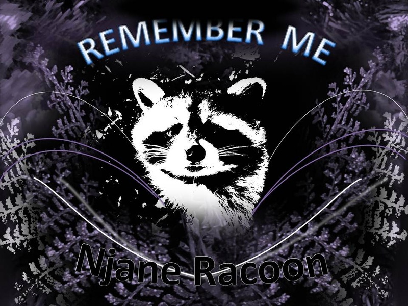 Njane racoon330 - Remember me