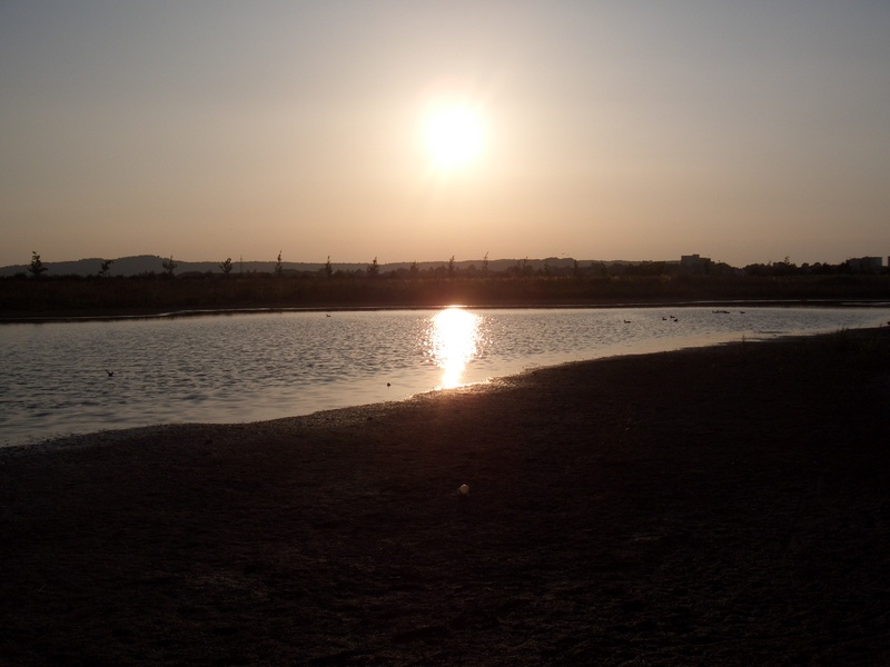 Spazefreak - You Give Me Sunshine (Quartet Instrumental Version)
