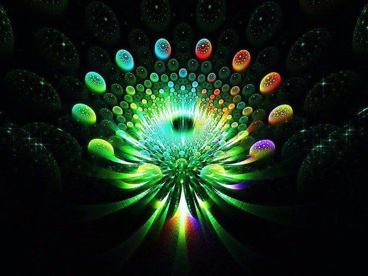 Constant Elevation - Psychedelic Experience