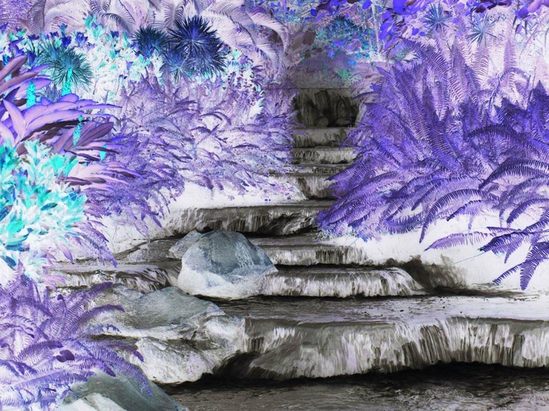fame1337 - fame - wormhole