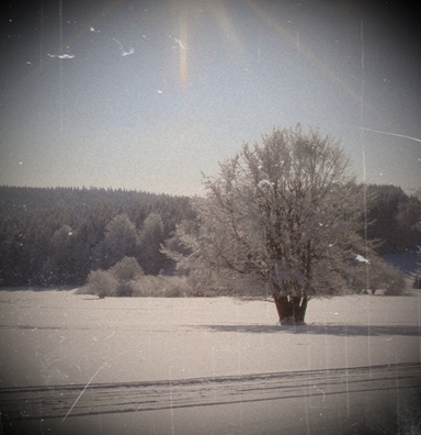 tubrox - Winterwelten