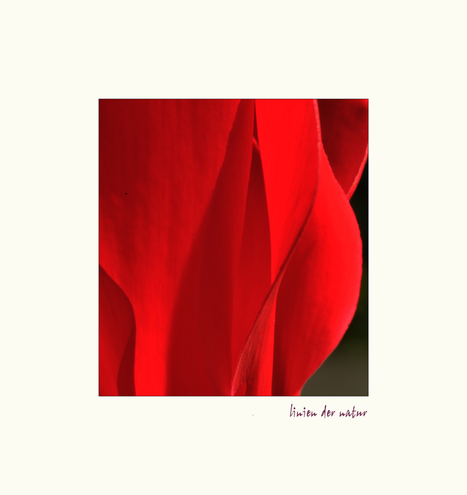 barefoot dreaming - Waiting for spring