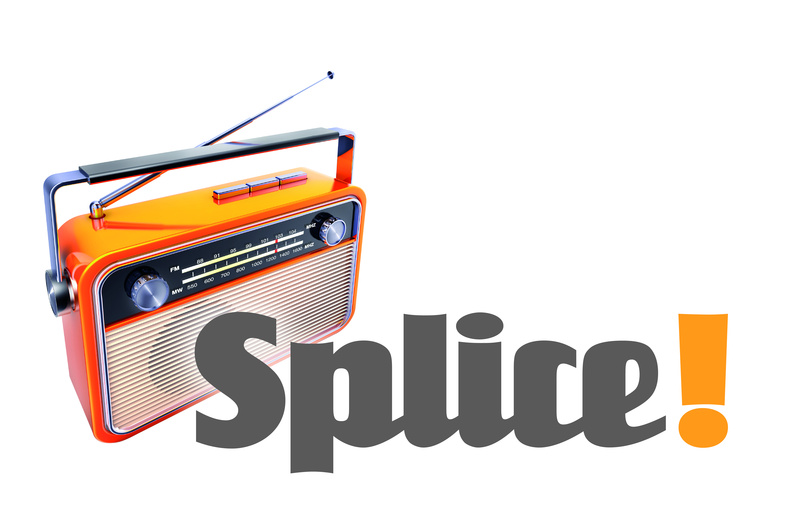 Splice - Went On