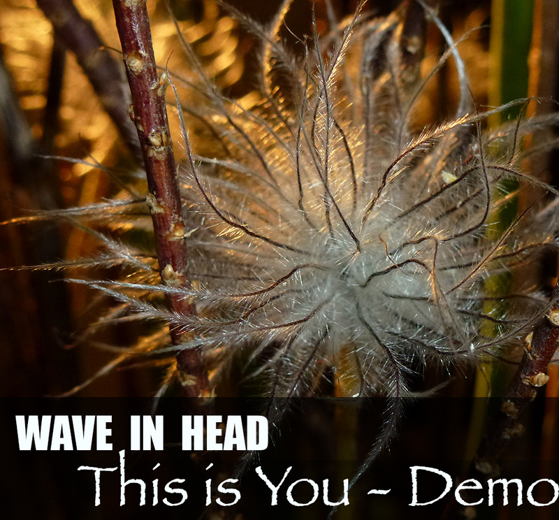 WAVE IN HEAD - This is You