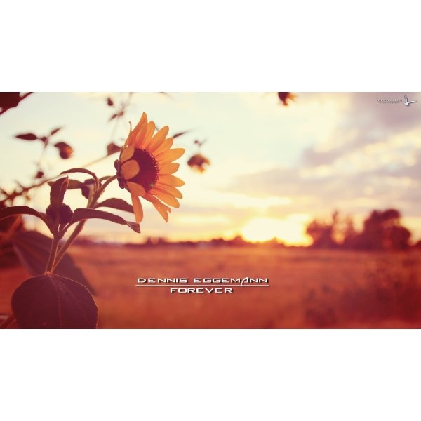 Dennis Eggemann - Forever (Instrumental)