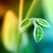 melostalker - A New Life (Radio Edit)