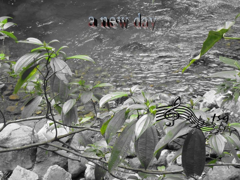 TheSigu@rd - a new day