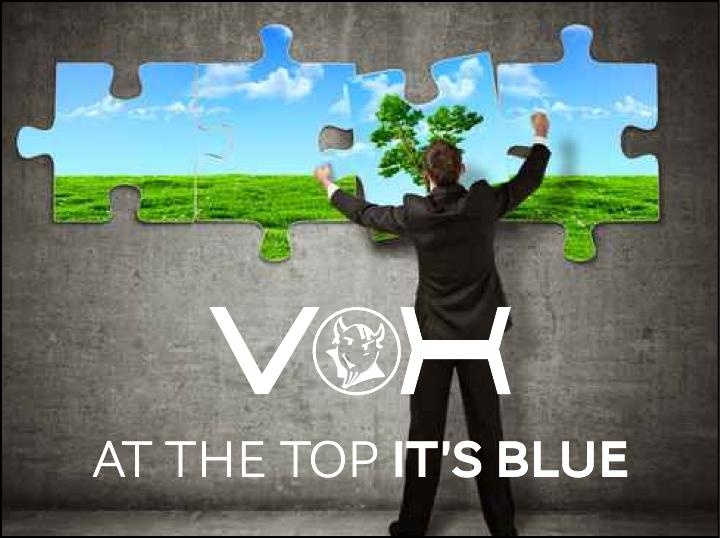 VOXS-HAMBURG - AT THE TOP IT'S BLUE