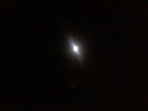 Tomcats Heaven - Moonbeam