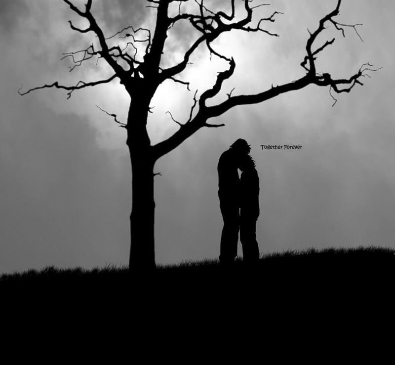 EVERREST - Together