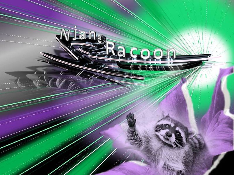 Njane racoon330 - the opening of summer 2013