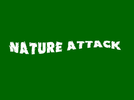 Strange Smile - Nature Attack