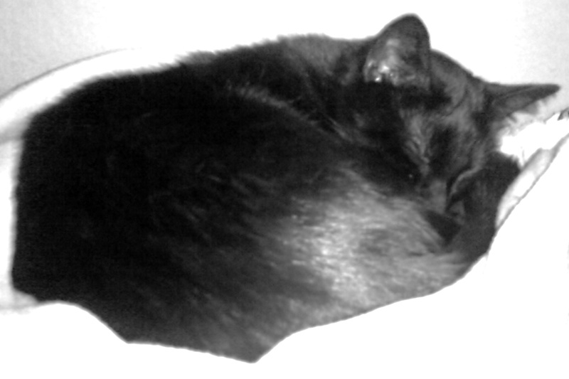 BlackAngel04 - I miss you my baby