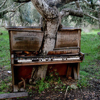 WarInYou - PianoTree