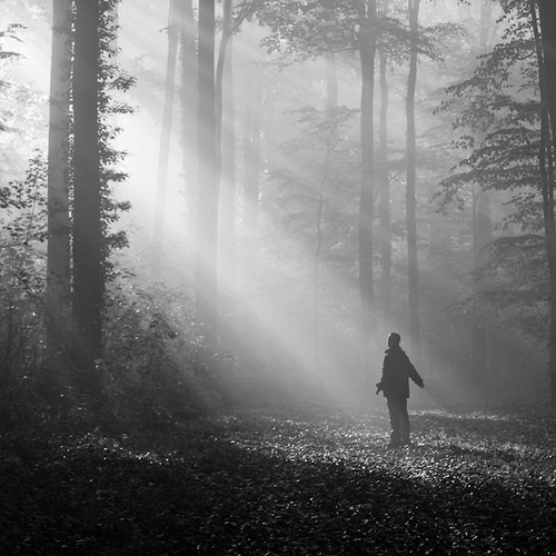 ferrikk - when i walk alone