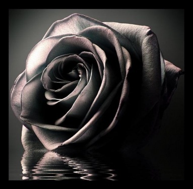 CYBERTRAXX EXCLUSIVE - EASE OF MIND feat. SHEENA - I´m Like Black (Original Mix)