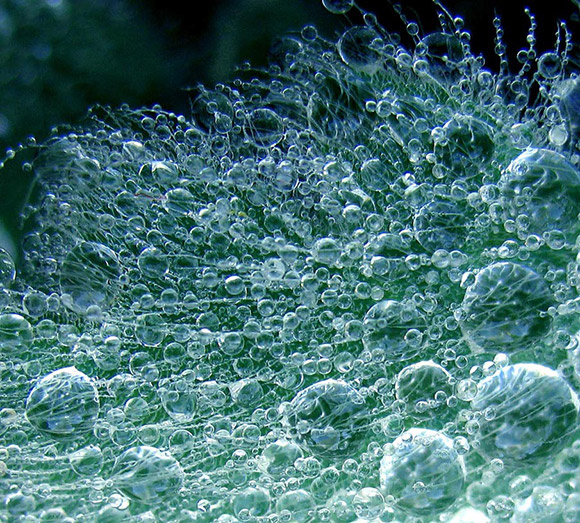 LETALE DOSIS - Macro - Space