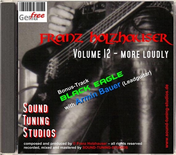 Franz Holzhauser - broken