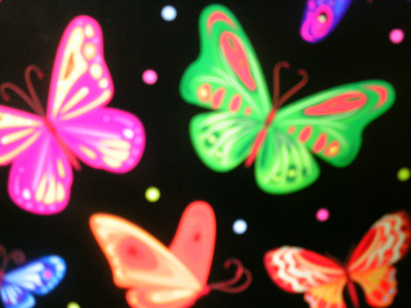 3doch1 - Schmetterling
