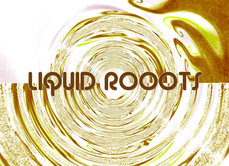 LiquidRooots - BadBoy