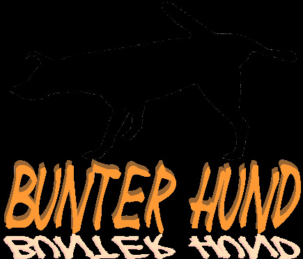 Bunter Hund - Moped fahrn