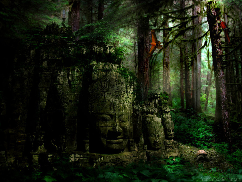Nioka-Ancient Forest