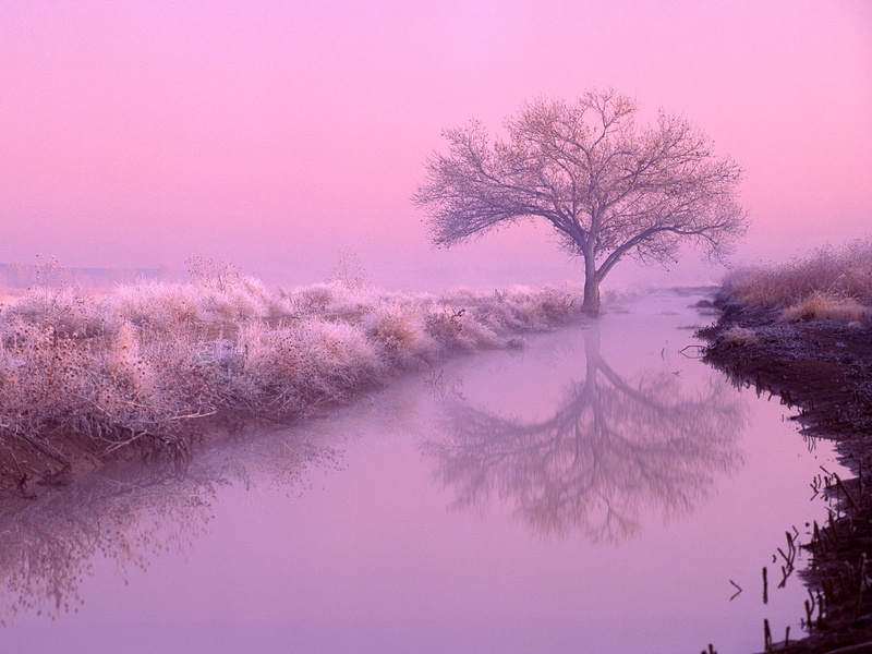 Slow Tact - Delicate Melody