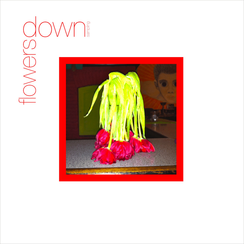 downsampling - withered roses
