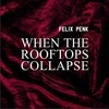 Felix Penk - When The Rooftops Collapse