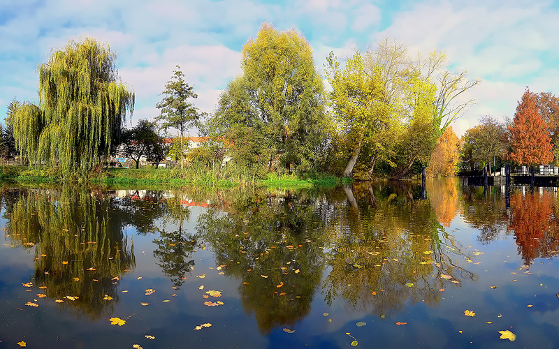 Buggi - Herbstwind