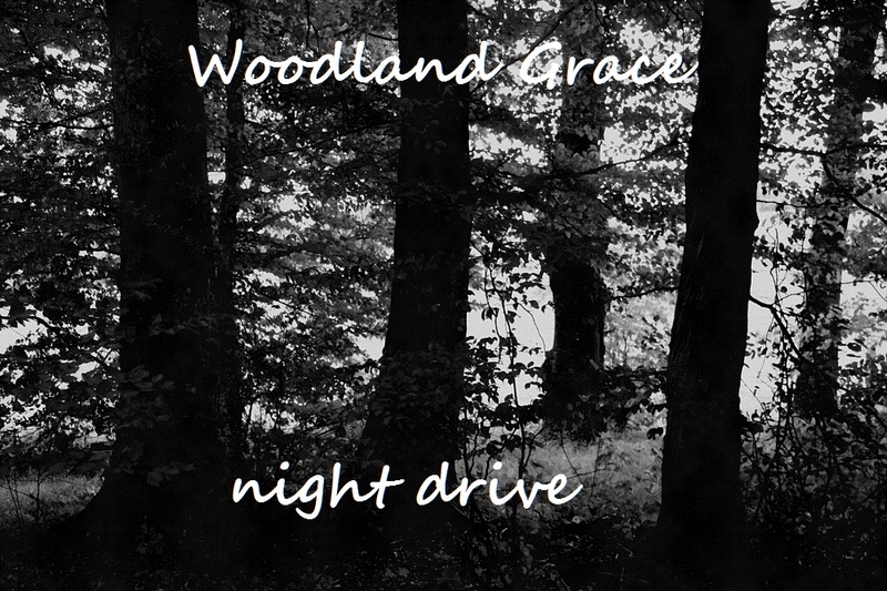 Woodland Grace - Night Drive