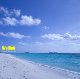 WalliaN - 13 - Ecstasy