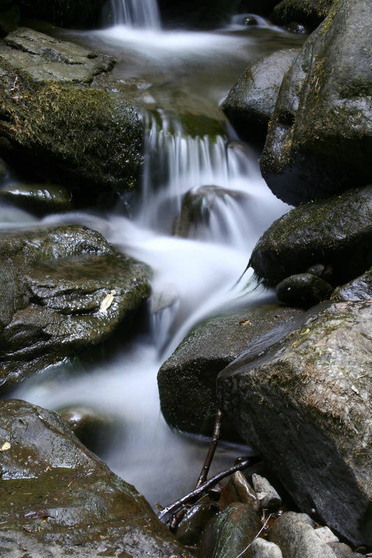 The Liquid Service - water and time (modern life)
