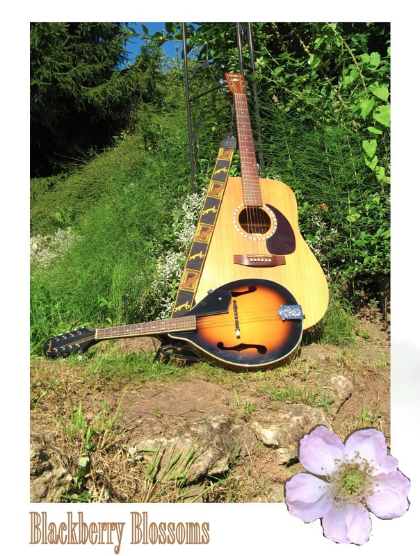 Blackberry Blossoms - THE VISIT (Hey old lover)