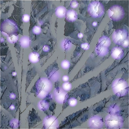 Aurora Borealis - Winter again