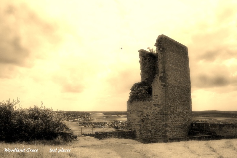 Woodland Grace - lost places