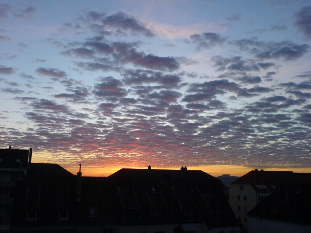 Sonnenfluter - WARUM ?