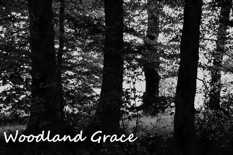 Woodland Grace - The Cove