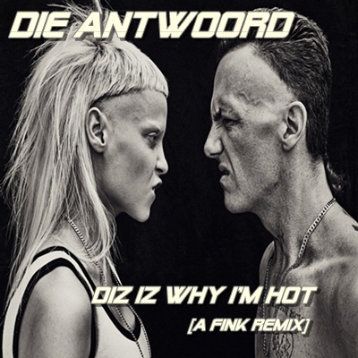 Tomi Finch - DIE ANTWOORD - DIZ IZ WHY I'M HOT (FINK REMIX)