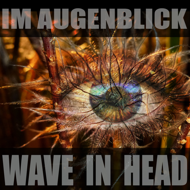 WAVE IN HEAD - If I Ever Began