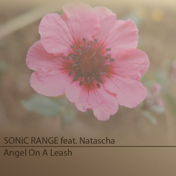 SONiC RANGE - Angel On A Leash [Dubstep Remix]