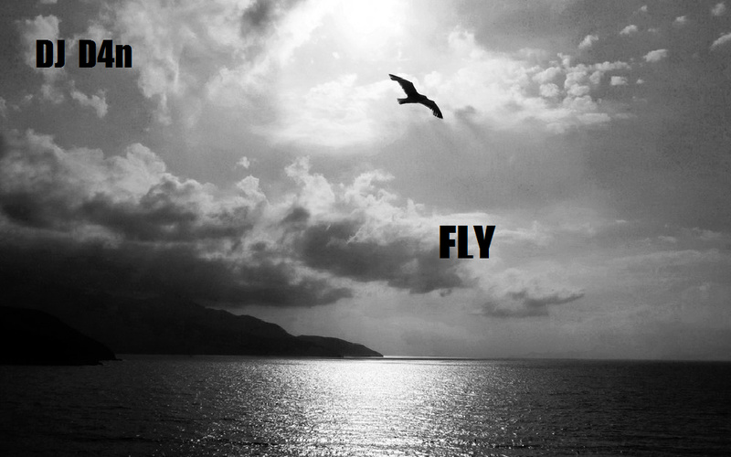 Dj D4n - Fly