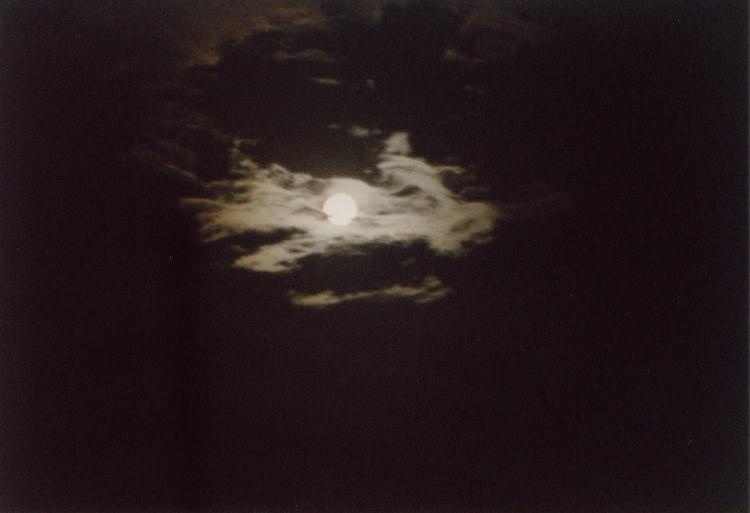 viertoener - Dreams