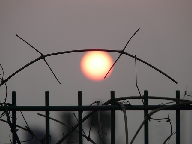 Zee4 - Sonnenuntergang